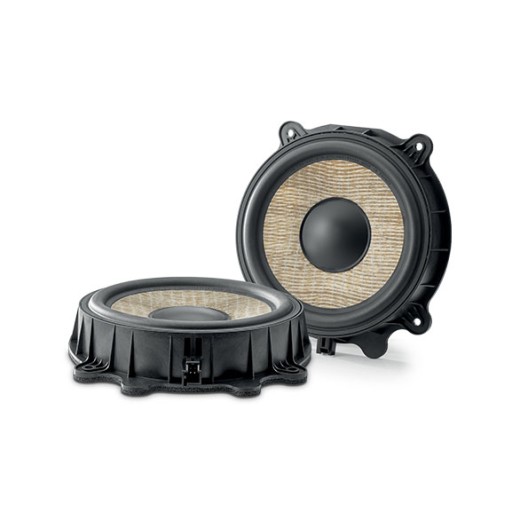Subwoofery pro Tesla 3, Y Focal IW T3Y 200
