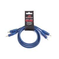 Renegade REN1RCA